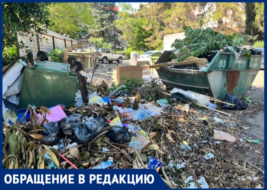 Жительница Сочи пожаловалась на горы мусора: «Из-за пофигизма властей в наших квартирах крысы и тараканы»