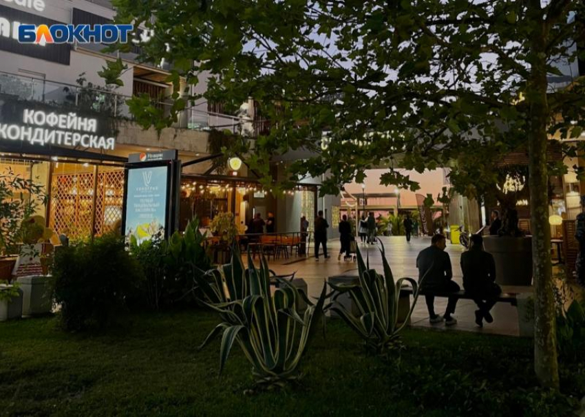 Адлер признали главным летним курортом в 2026 году