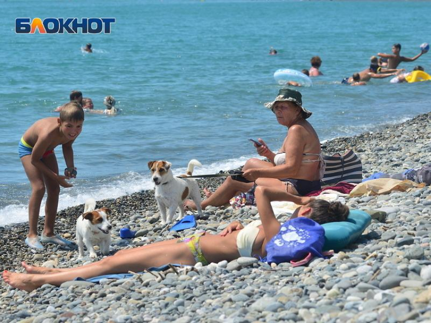 Стало известно, когда в Сочи придет жара