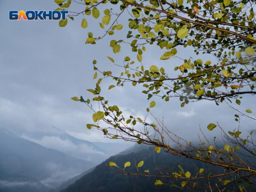 Обвиняемому в краже земель нацпарка Сочи отказали в смягчении наказания