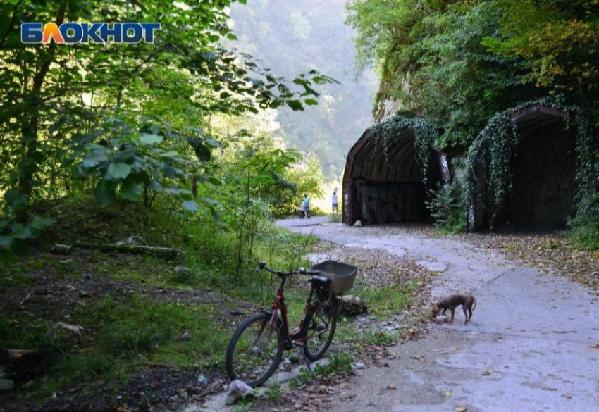 В горах Сочи продолжают искать двух туристов 