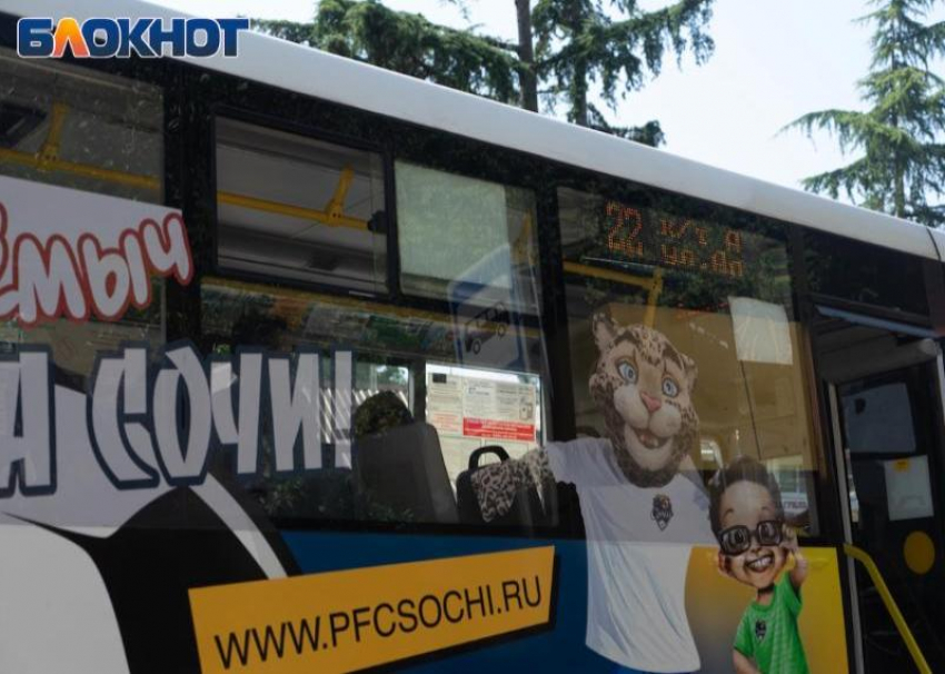 Автобусы в Сочи будут ходить круглосуточно