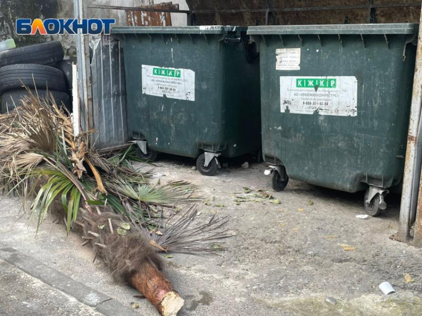 Власти Сочи наконец-то заметили проблему с вывозом мусора 