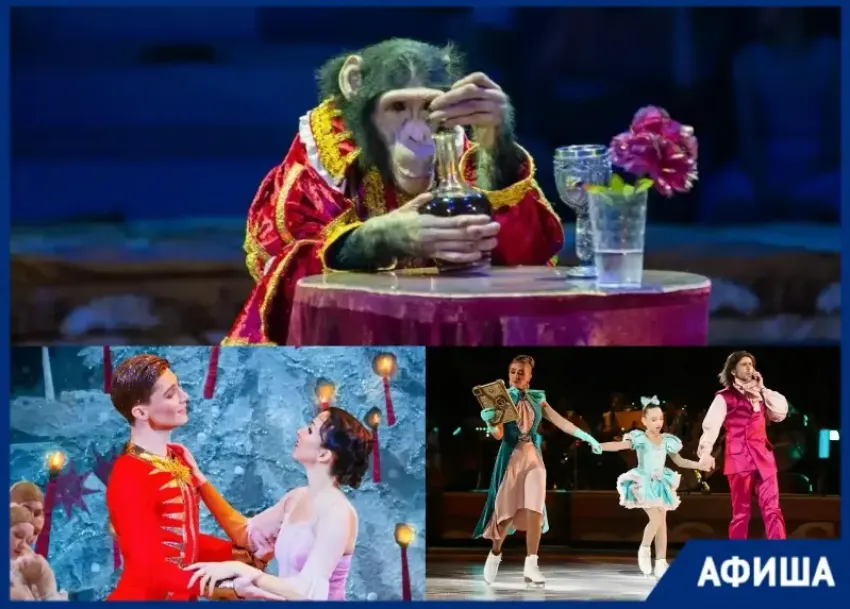 Шоу «Цирк в гостях у сказки», премьера от Татьяны Навки и «Щелкунчик»: афиша новогодних мероприятий в Сочи