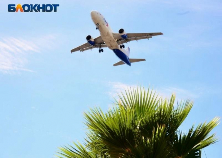 Российская авиакомпания увеличила количество рейсов из Тель-Авива в Сочи