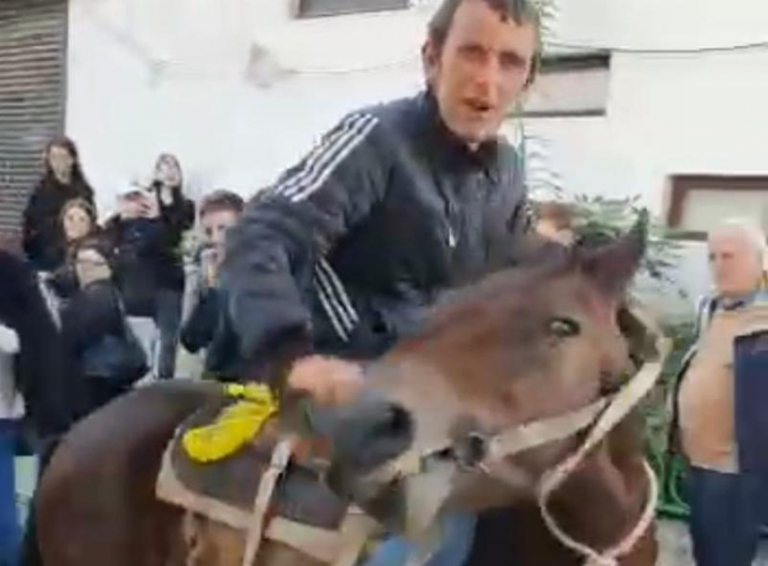 Заехавшего в автобус на коне жителя Абхазии арестовали