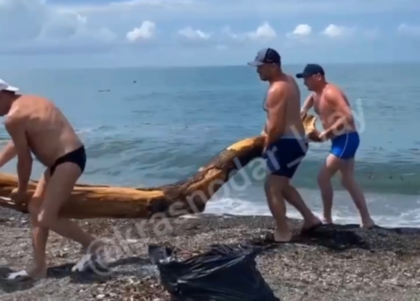 Туристы и местные жители Сочи самостоятельно расчищают пляж от мусора