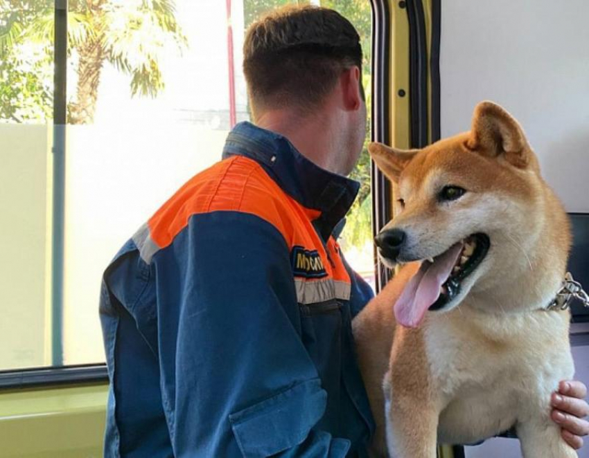 Сочинские спасатели помогли травмированной женщине с собакой добраться до поезда