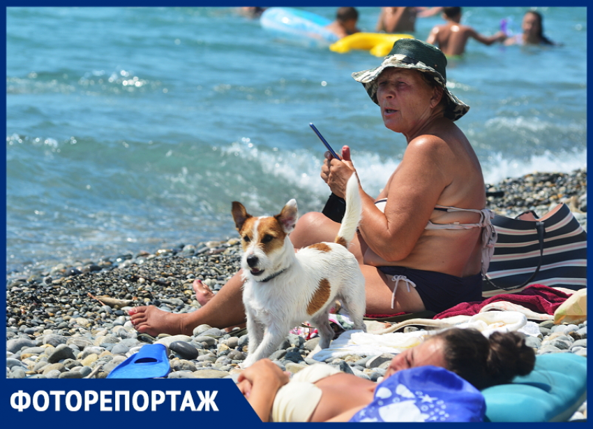 Где не ступала нога туриста: фоторепортаж «Блокнота» о диком отдыхе в Сочи