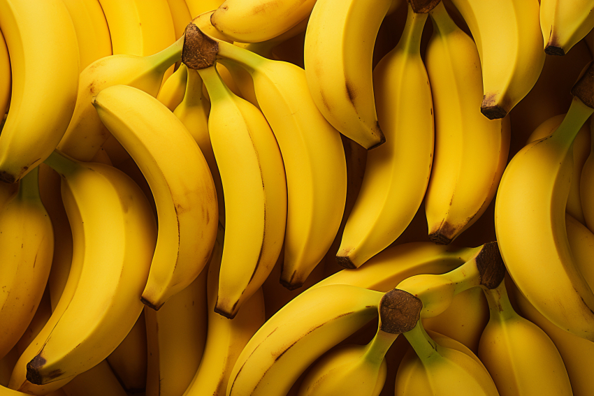Стало известно, когда поспеют первые бананы, которые начали выращивать в Сочи