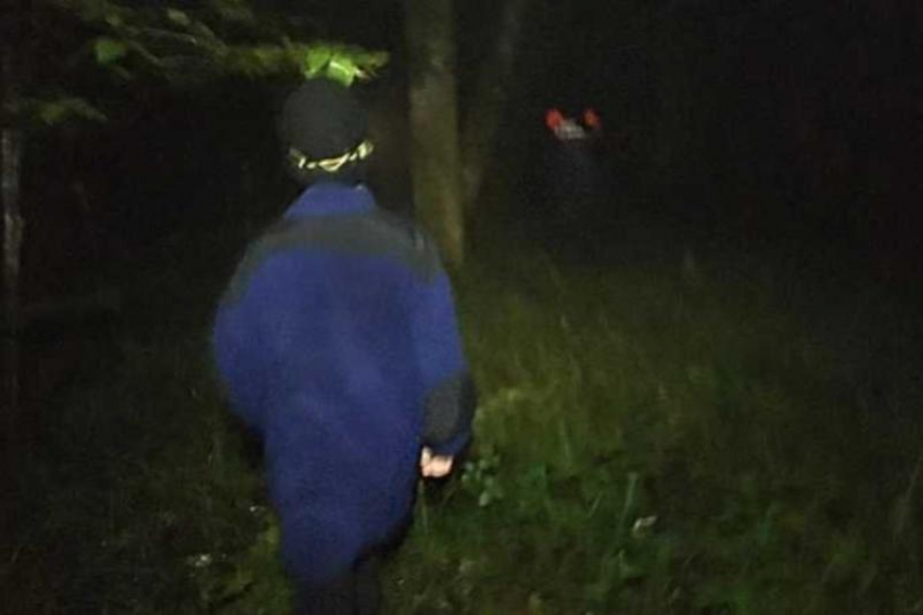 Сотрудники МЧС спасли заблудившихся в лесу бабушку с внуком