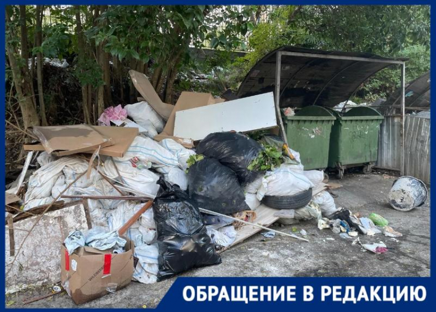 «Из контейнеров забирают, а рядом оставляют»: жительница Сочи жалуется на вывоз мусора