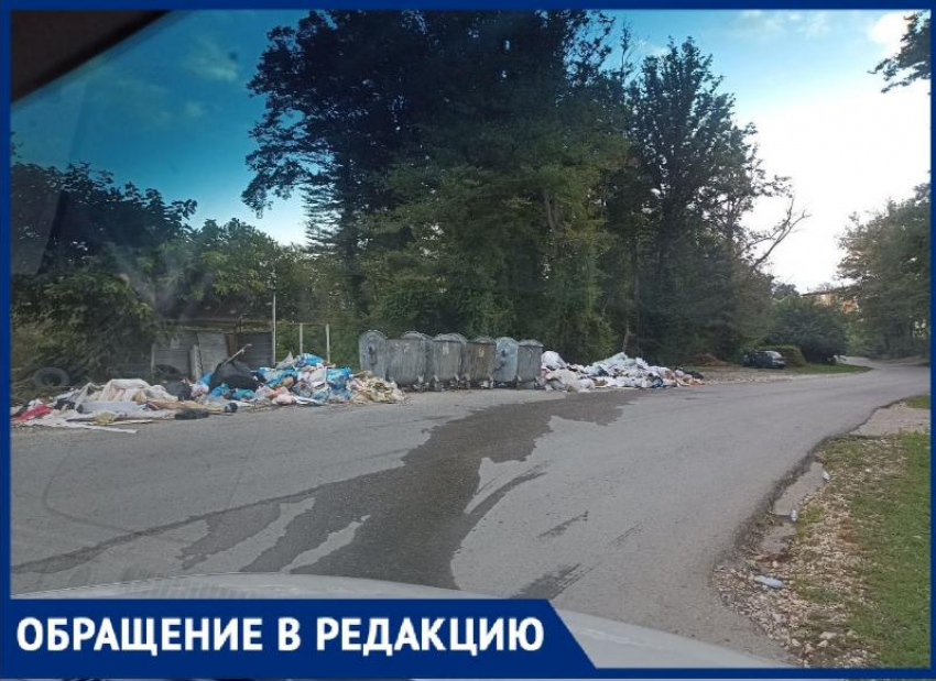 Сочинские тротуары завалило мусором 