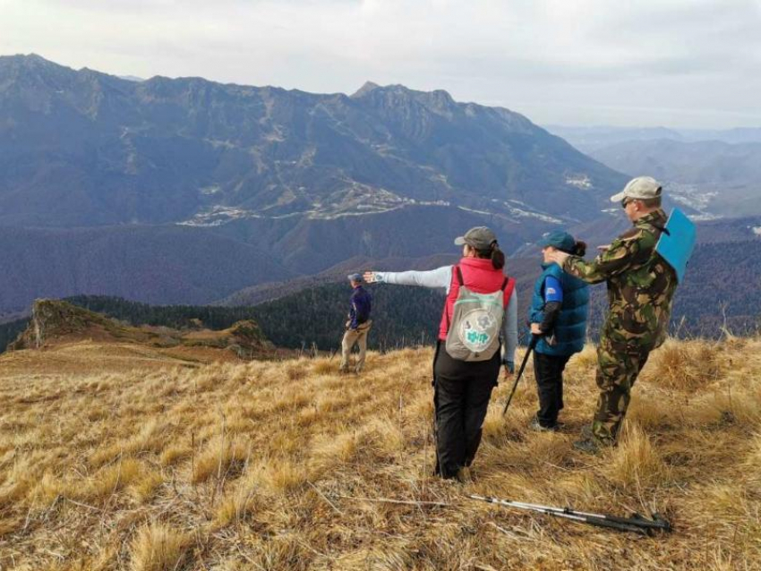 Поиски пропавшего три месяца назад туриста возобновили в горах Сочи