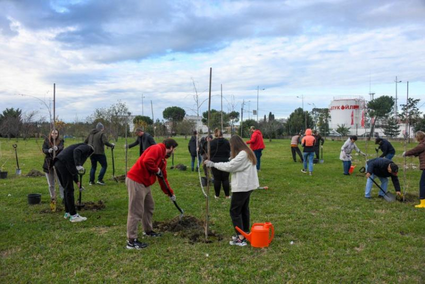  35 деревьев появились в орнитологическом парке Сочи в День волонтёра