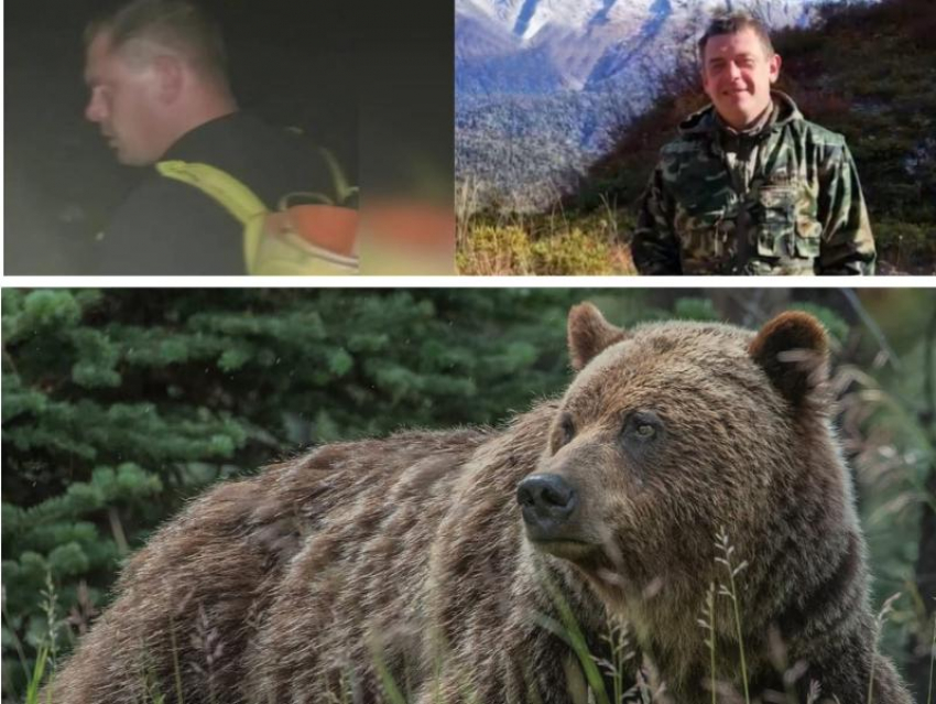 Встреча с медведем на Красной Поляне обернулась "пропажей без вести" одного из туристов 