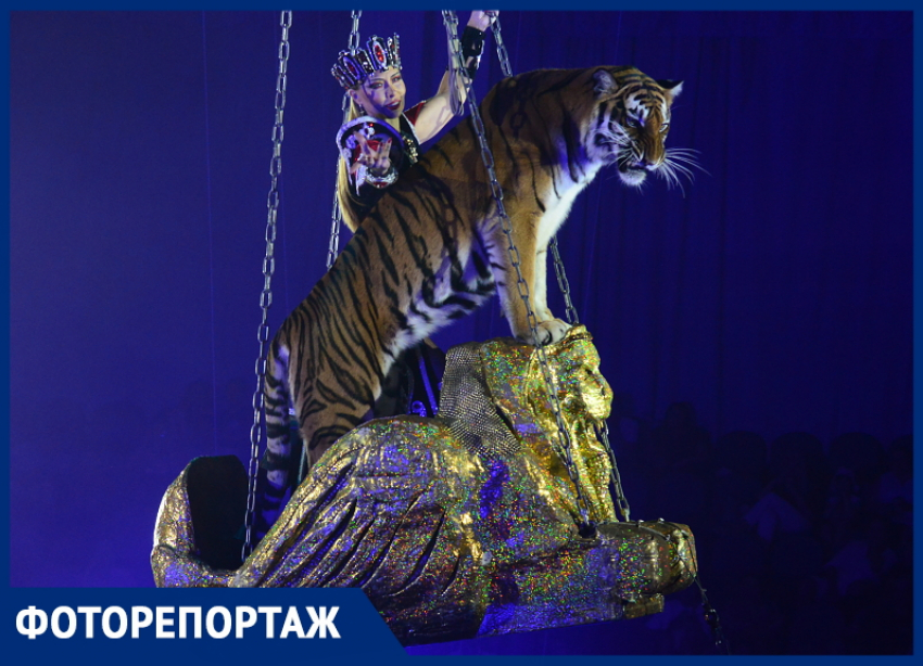 Гия Эрадзе представил в Сочи новое шоу «Королевский цирк»