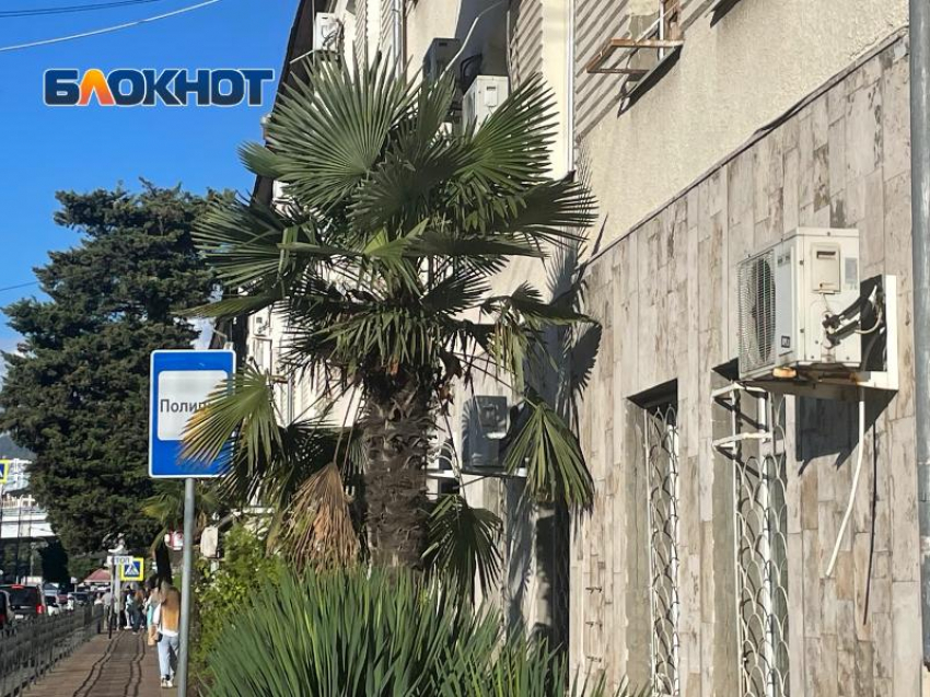 Полиция Сочи ищет троицу, избившую на улице мужчину до бессознательного состояния