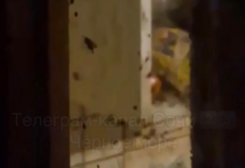 Многодетная мать из Сочи превратила жизнь соседей в ад, устроив в квартире рассадник тараканов