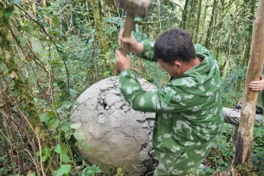 В лесу Сочи уничтожили загадочные гигантские шары