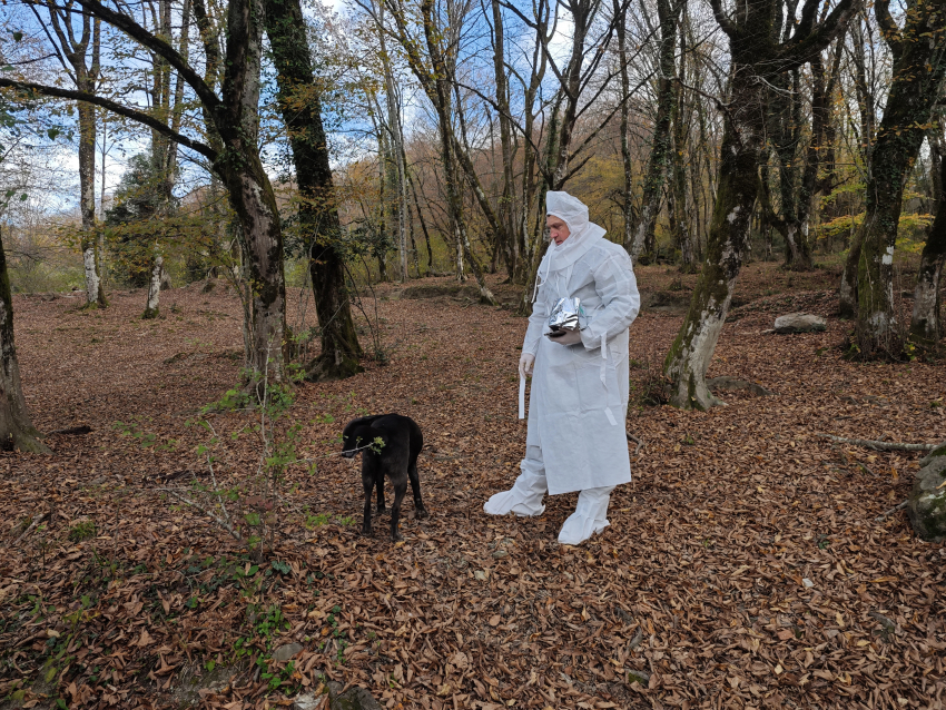В Сочинском нацпарке прошла закладка оральной вакцины от бешенства