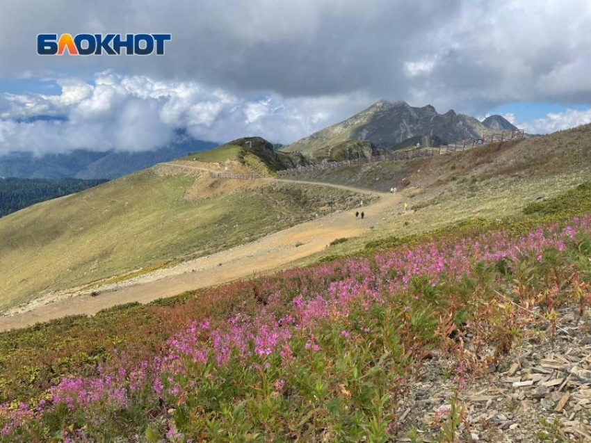 Выяснили, сколько нужно денег, чтобы посетить самый большой водопад Краснодарского края