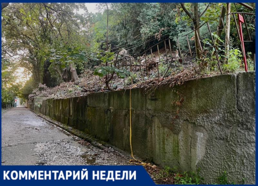 В администрации Сочи прокомментировали массовую вырубку деревьев в Адлере