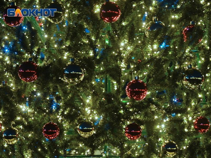 За один день администрация Сочи разыграла контракт на покупку елки и украшений за 3 миллиона рублей