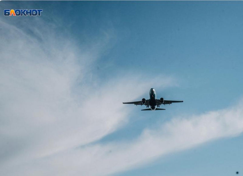 Из Сочи в столицу Египта: авиакомпания запустила прямые рейсы