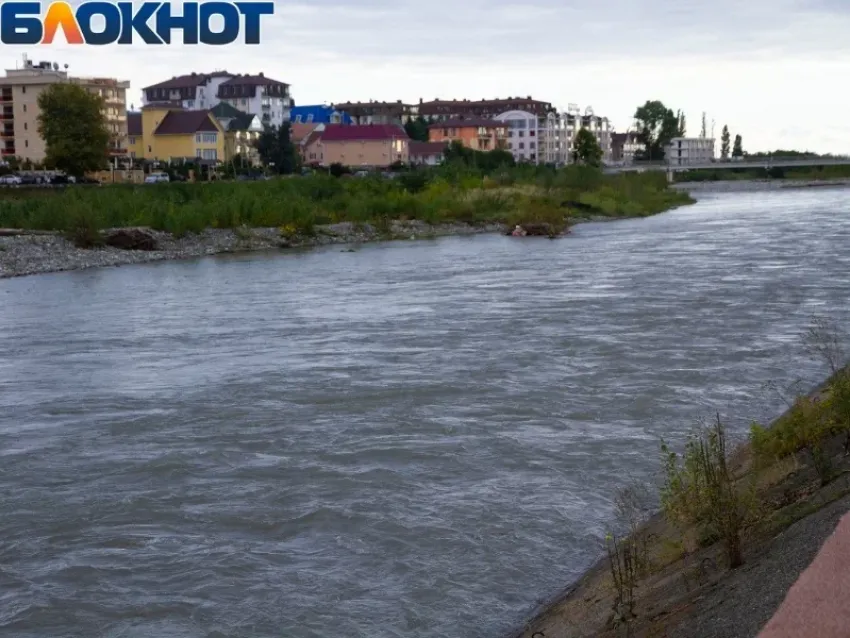 Мэр Сочи проинспектировал расчистку реки Мзымта