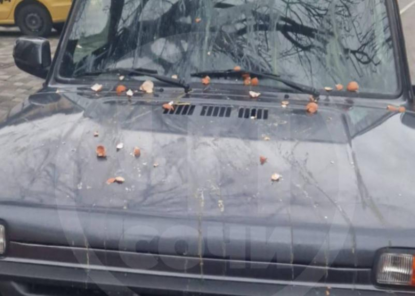 Неизвестные закидали яйцами автомобиль, припаркованный на тротуаре в Сочи 