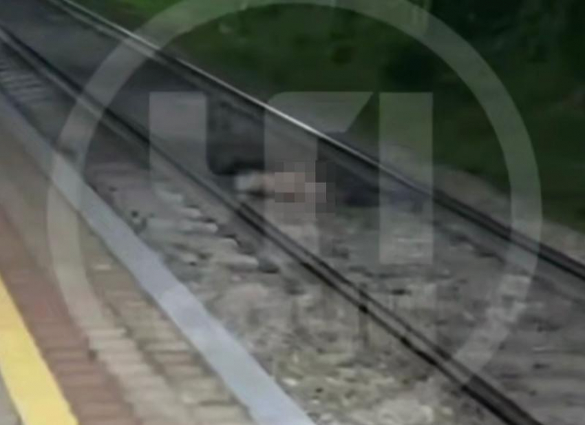 Тело мужчины без головы и ног нашли на  ж/д станции в Сочи