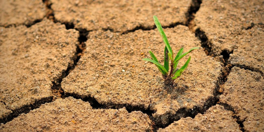 Всемирный день борьбы с опустыниванием и засухой 