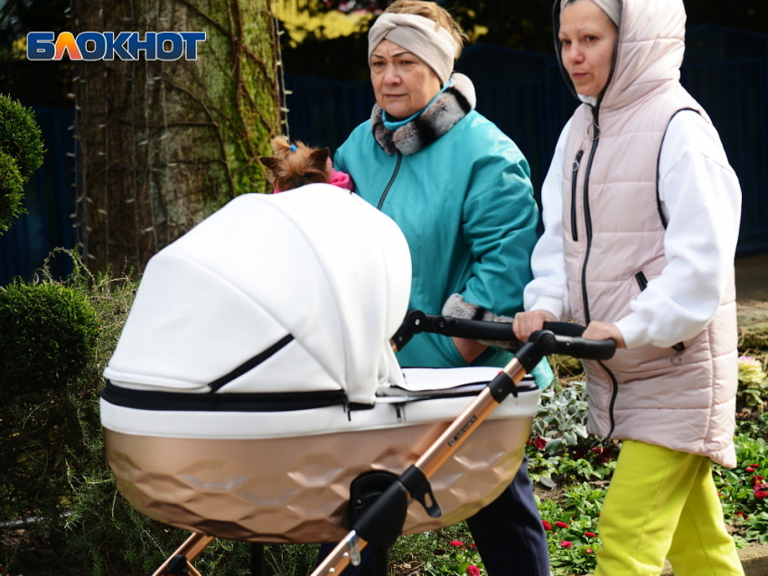 Мэр Сочи попросил организации войти в положение женщин, находящихся с детьми из-за угрозы БПЛА