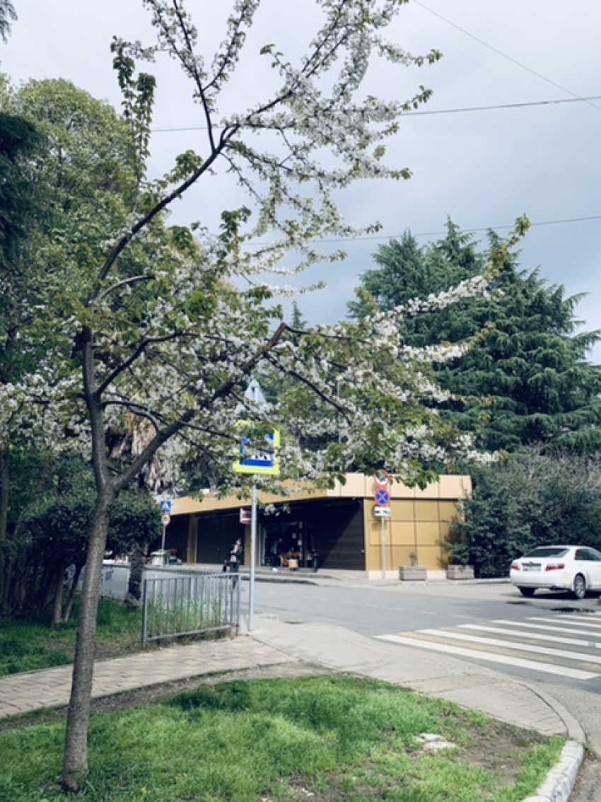 Доброе утро, Сочи 