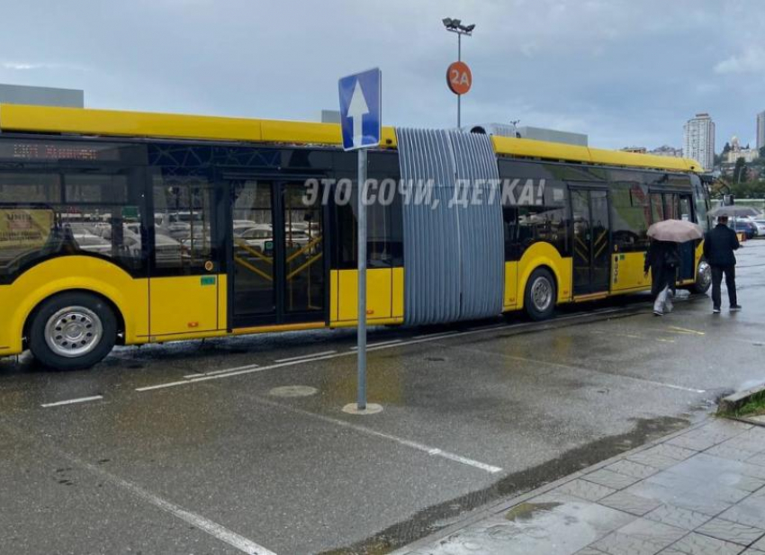 Автобусы-«гармошки» появились на дорогах Сочи