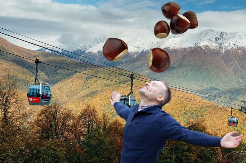 В горах Сочи пройдет фестиваль каштана