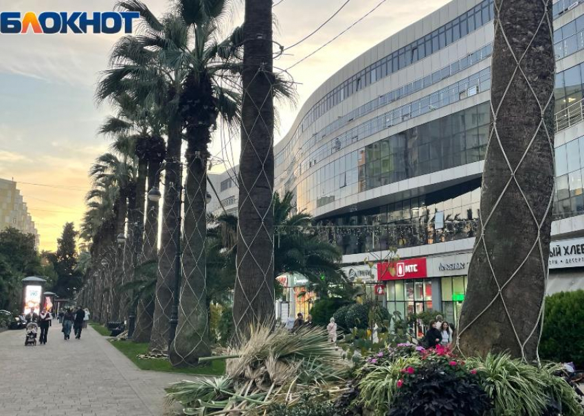  Самой дорогой торговой улицей регионов стала Навагинская в Сочи