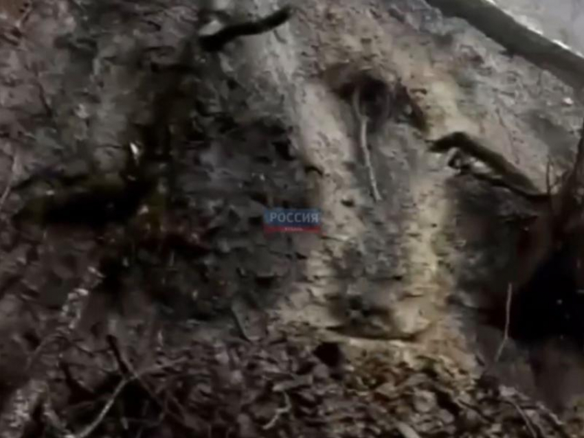 Оползень повредил знаменитый туристический объект в Сочи