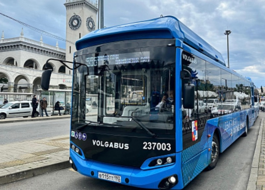 В честь празднования Олимпийских игр проезд по нескольким автобусным маршрутам в Сочи будет бесплатным