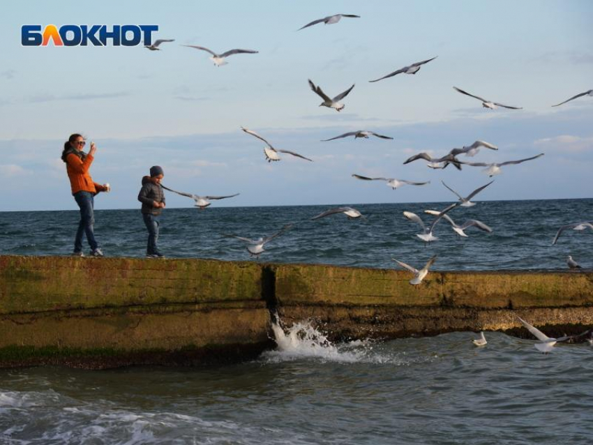 Сочи и Беларусь будут совместно развивать туризм