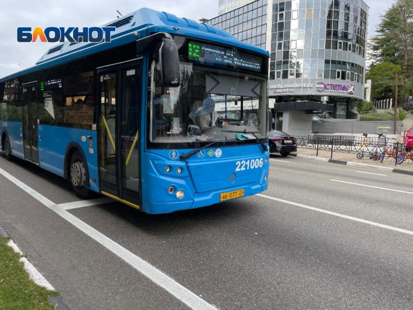 В мэрии Сочи сообщили, как будет работать общественный транспорт в праздники