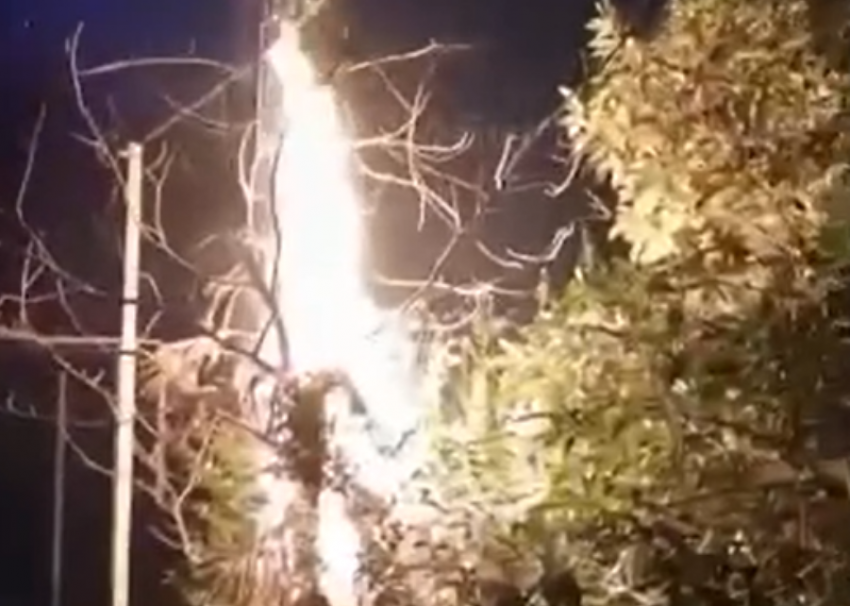 Новогодние фейерверки в Сочи стали причиной возгорания