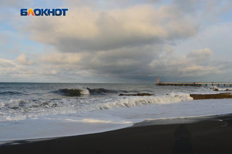 Игривые забавы кошкодевочек попали на видео в воронежском парке