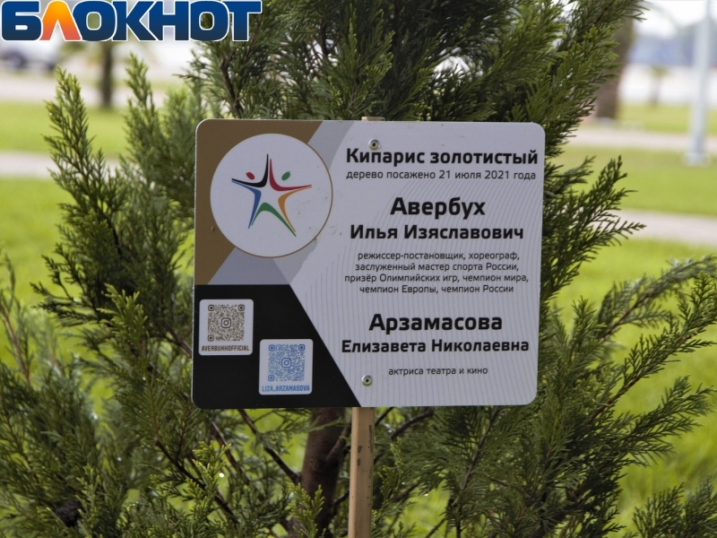 Стенд-табличка с именами Авербуха и Арзамасовой в Сочи.jpg