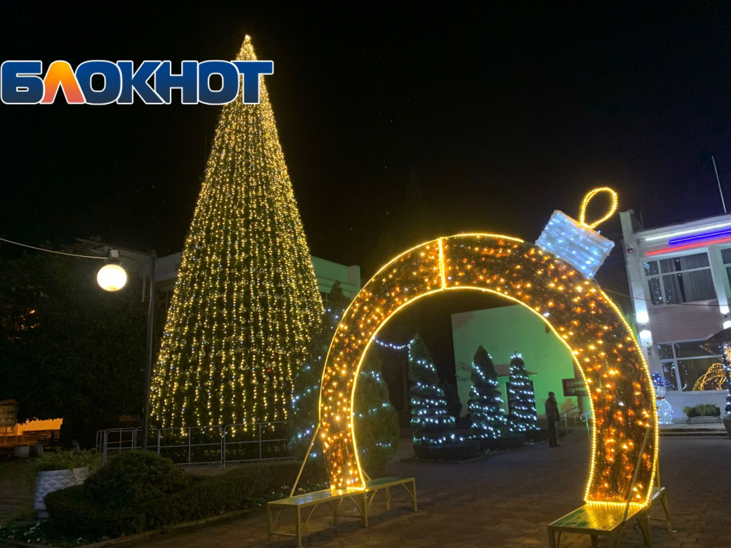 елка у здании мэрии в Адлерском районе города.jpeg