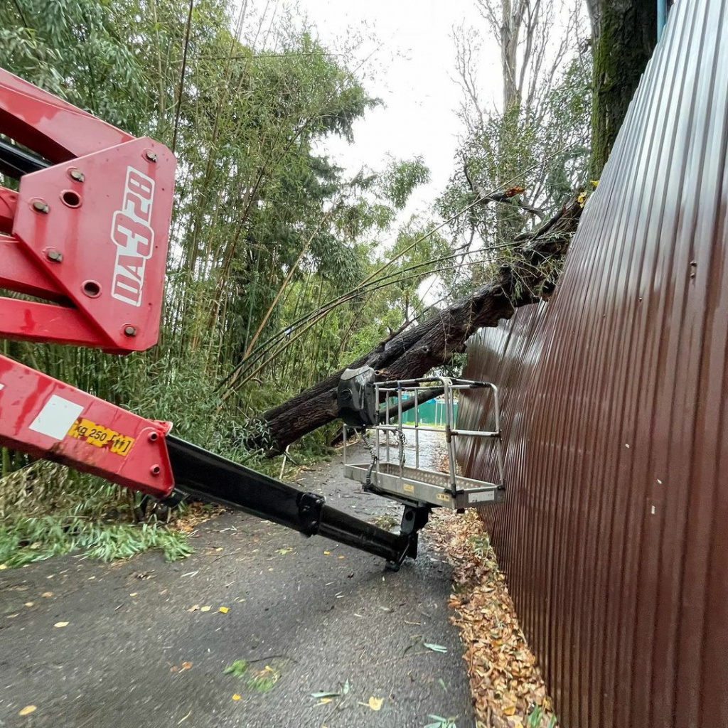 ураган в Сочи повалил деревья 