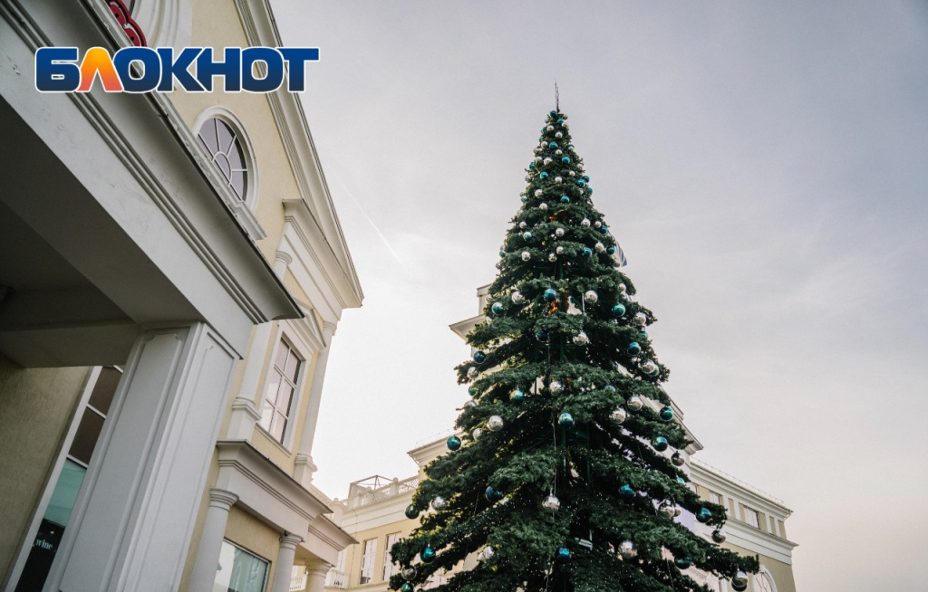 Новогодняя елка в Сочи